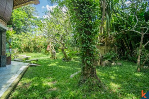 700m2 Land in Seminyak, Badung, Indonesia No. 11645 18