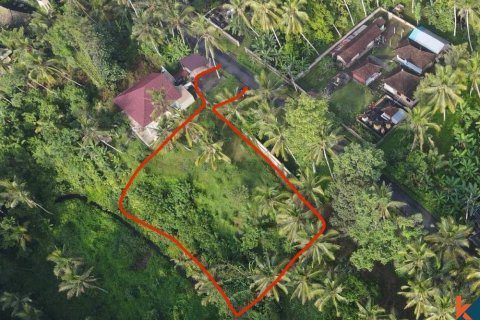 Land in Gianyar, Indonesia No. 11160