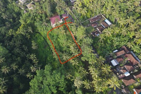 Land in Gianyar, Indonesia No. 11160 3