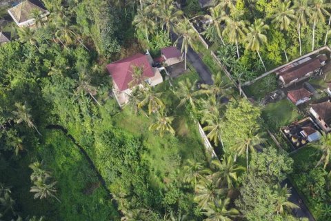 Land in Gianyar, Indonesia No. 11160 2