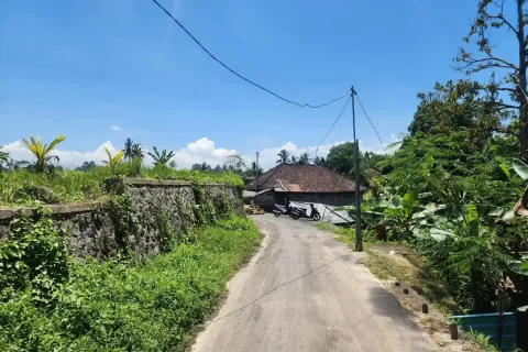 Land in Tegallalang, Gianyar, Indonesia No. 10587 8