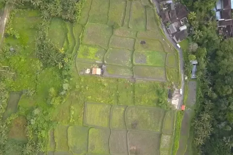 Land in Tegallalang, Gianyar, Indonesia No. 10587 3