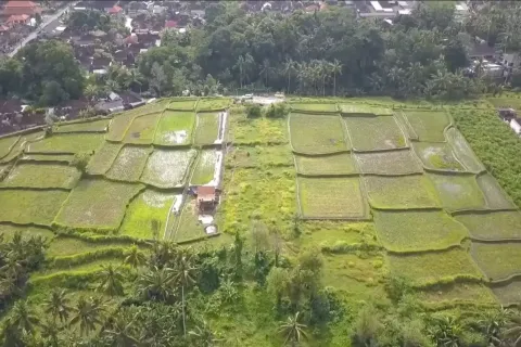 Land in Tegallalang, Gianyar, Indonesia No. 10587 2