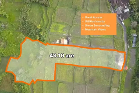 Land in Tegallalang, Gianyar, Indonesia No. 10587