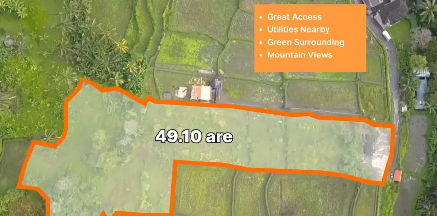 Land in Tegallalang, Gianyar, Indonesia No. 10587