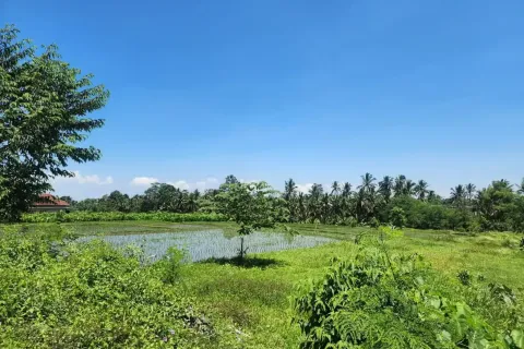 Land in Tegallalang, Gianyar, Indonesia No. 10587 5