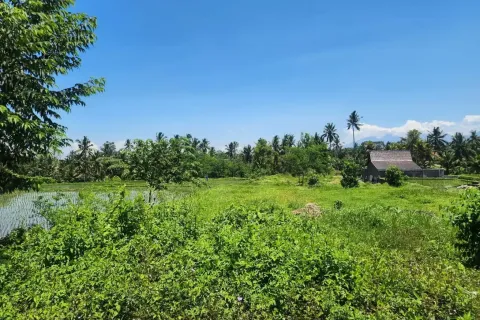 Land in Tegallalang, Gianyar, Indonesia No. 10587 6