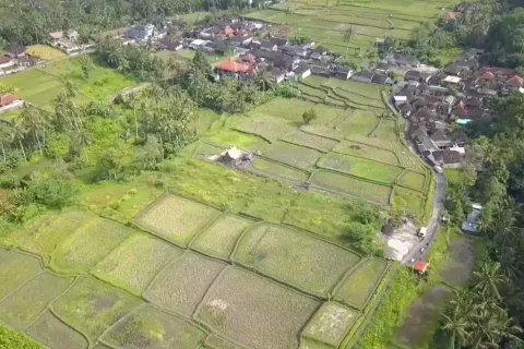 Land in Tegallalang, Gianyar, Indonesia No. 10587 4