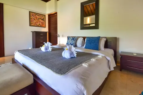 5 bedrooms Villa in Ubud, Gianyar, Indonesia No. 10726 25