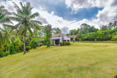 5 bedrooms Villa in Ubud, Gianyar, Indonesia No. 10726 5