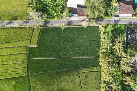 Land in Kaba-Kaba, Kediri, Tabanan, Indonesia No. 10456 5