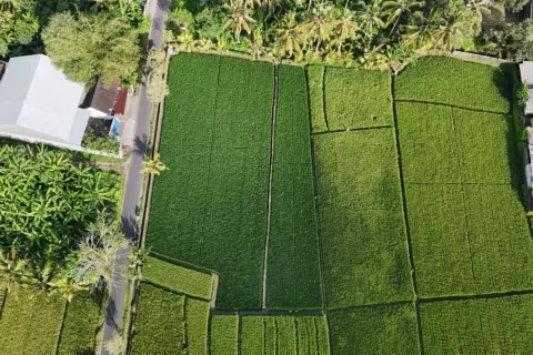 Land in Kaba-Kaba, Kediri, Tabanan, Indonesia No. 10456 6