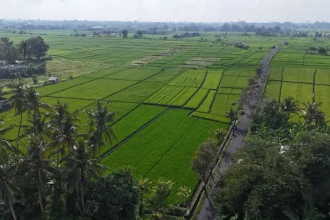 Land in Kaba-Kaba, Kediri, Tabanan, Indonesia No. 10456 7