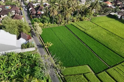 Land in Kaba-Kaba, Kediri, Tabanan, Indonesia No. 10456 4