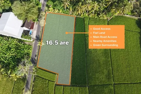 Land in Kaba-Kaba, Kediri, Tabanan, Indonesia No. 10456