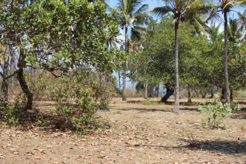 Land in Karangasem, Karang Asem, Indonesia No. 11707 6