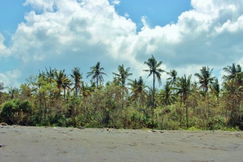 Land in Karangasem, Karang Asem, Indonesia No. 11707 7