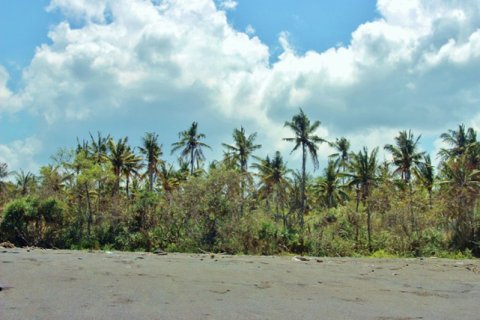 Land in Karangasem, Karang Asem, Indonesia No. 11707 13