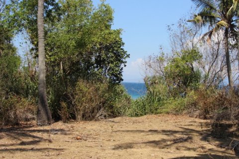 Land in Karangasem, Karang Asem, Indonesia No. 11707 14