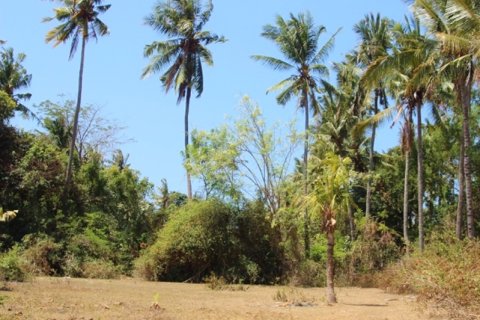 Land in Karangasem, Karang Asem, Indonesia No. 11707 5