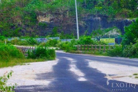 Land in Ungasan, Badung, Indonesia No. 11706 3