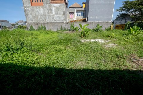Land in Denpasar, Indonesia No. 11705