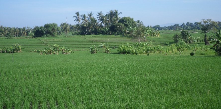 Land in Indonesia No. 11704