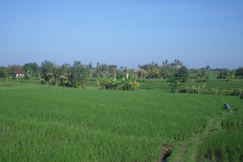 Land in Indonesia No. 11704 4