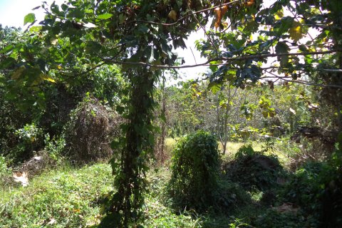 Land in Denpasar, Indonesia No. 11709