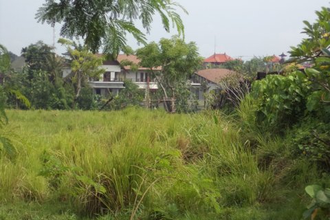 Land in Badung, Indonesia No. 11708 5