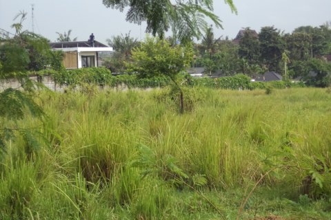 Land in Badung, Indonesia No. 11708