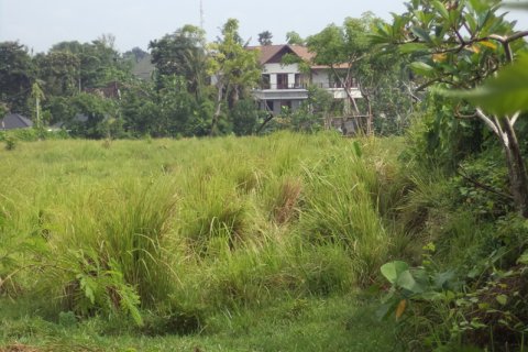 Land in Badung, Indonesia No. 11708 3