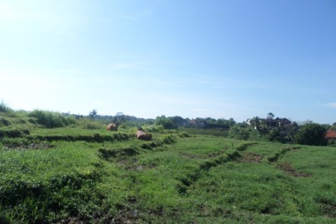 Land in Indonesia No. 11703 2
