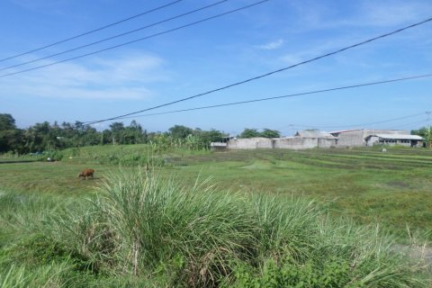 Land in Indonesia No. 11703 5