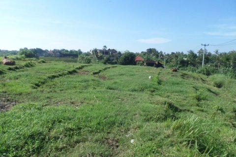 Land in Indonesia No. 11703 3