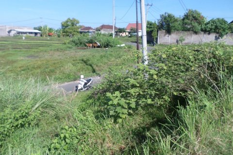 Land in Indonesia No. 11703 6