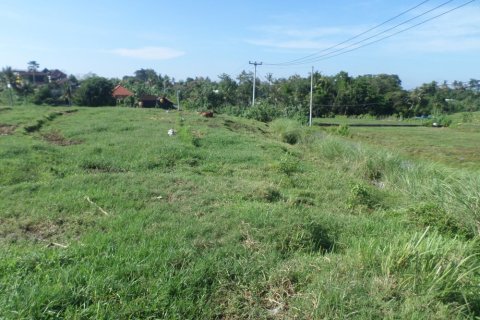 Land in Indonesia No. 11703 4