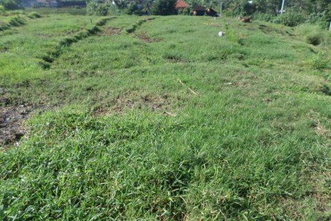 Land in Indonesia No. 11703