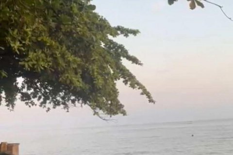 7000m2 Land in Lovina, Anturan, Buleleng, Indonesia No. 7696 4