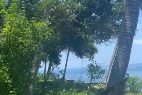 7000m2 Land in Lovina, Anturan, Buleleng, Indonesia No. 7696 7