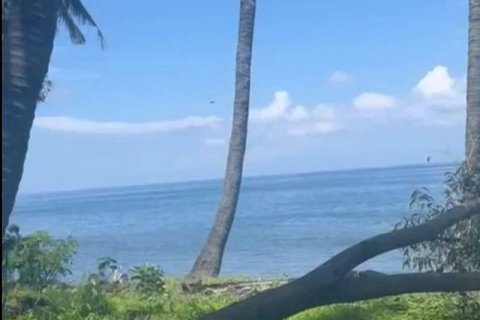 7000m2 Land in Lovina, Anturan, Buleleng, Indonesia No. 7696