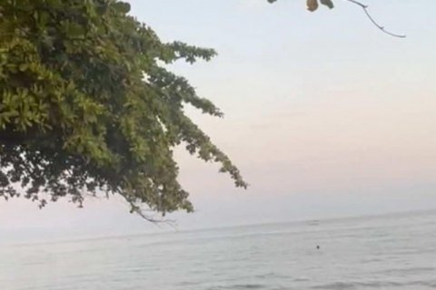 7000m2 Land in Lovina, Anturan, Buleleng, Indonesia No. 7696 5