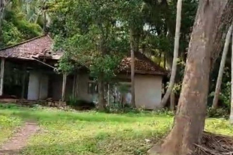 7000m2 Land in Lovina, Anturan, Buleleng, Indonesia No. 7696 10