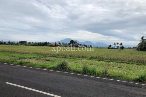 3800m2 Land in Tabanan, Indonesia No. 305