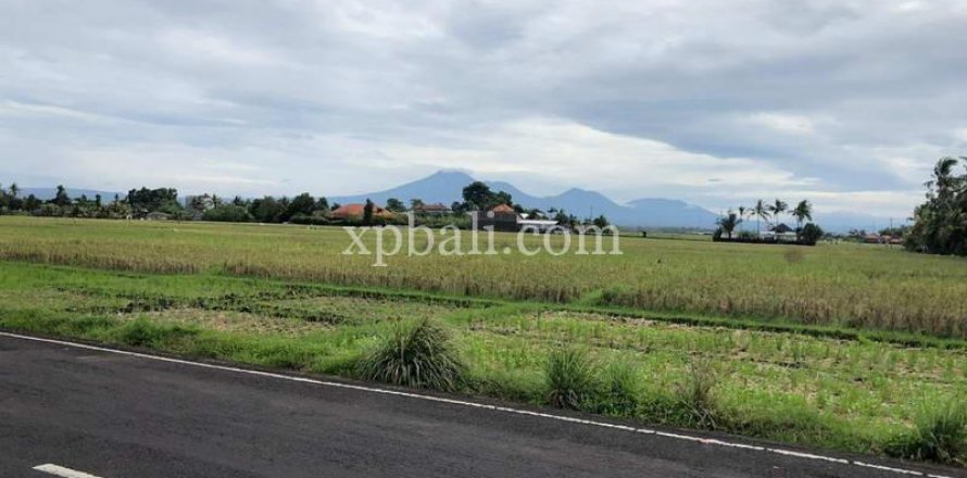 3800m2 Land in Tabanan, Indonesia No. 305