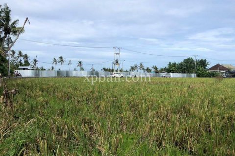 3800m2 Land in Tabanan, Indonesia No. 305 5