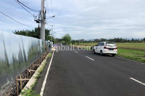 3800m2 Land in Tabanan, Indonesia No. 305 15