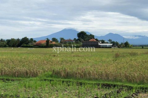 3800m2 Land in Tabanan, Indonesia No. 305 2