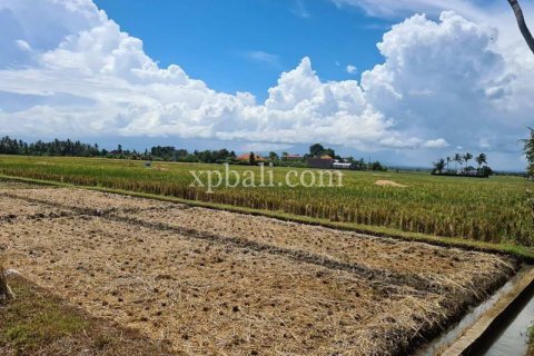 3800m2 Land in Tabanan, Indonesia No. 305 17
