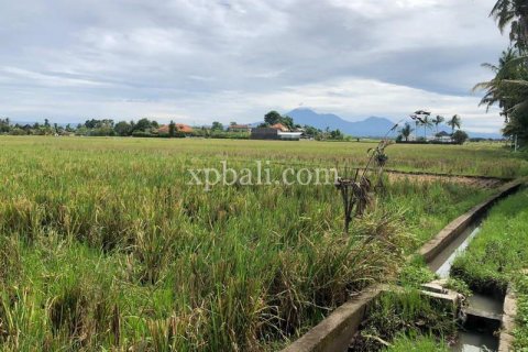 3800m2 Land in Tabanan, Indonesia No. 305 20